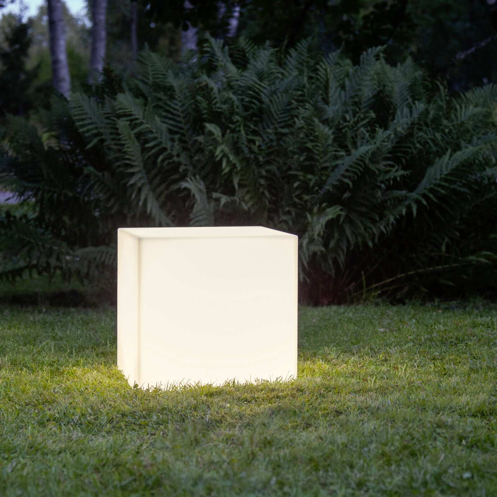 Leuchtender, würfelförmiger Outdoor-Lichtwürfel in warmweiß auf einer Rasenfläche vor Farnen im Garten, Perspektive: frontale Ansicht auf Augenhöhe