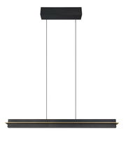 Moderne LED-Hängeleuchte in schwarzem Design, frontal abgebildet mit rechteckigem Baldachin und zwei dünnen Aufhängungen.