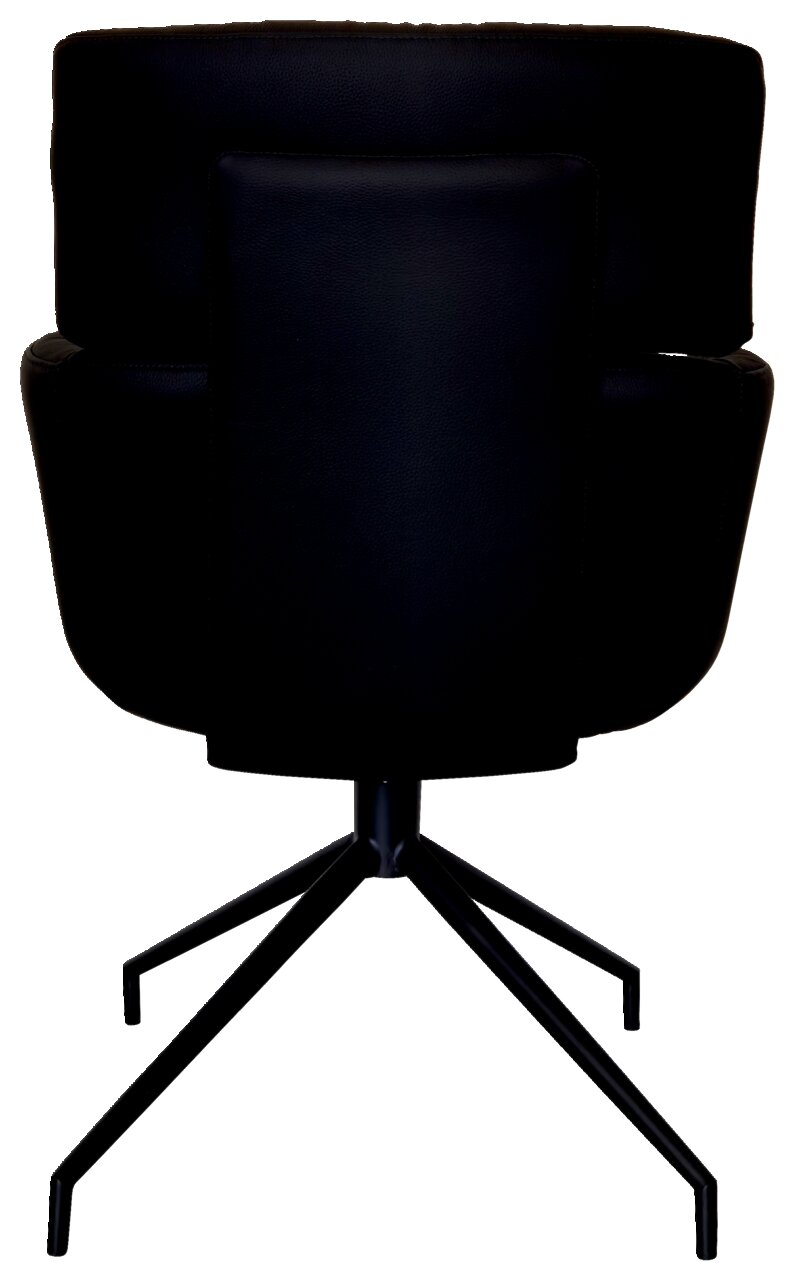 Rückansicht eines schwarzen Armlehnstuhls mit modernem Design und Metallgestell.