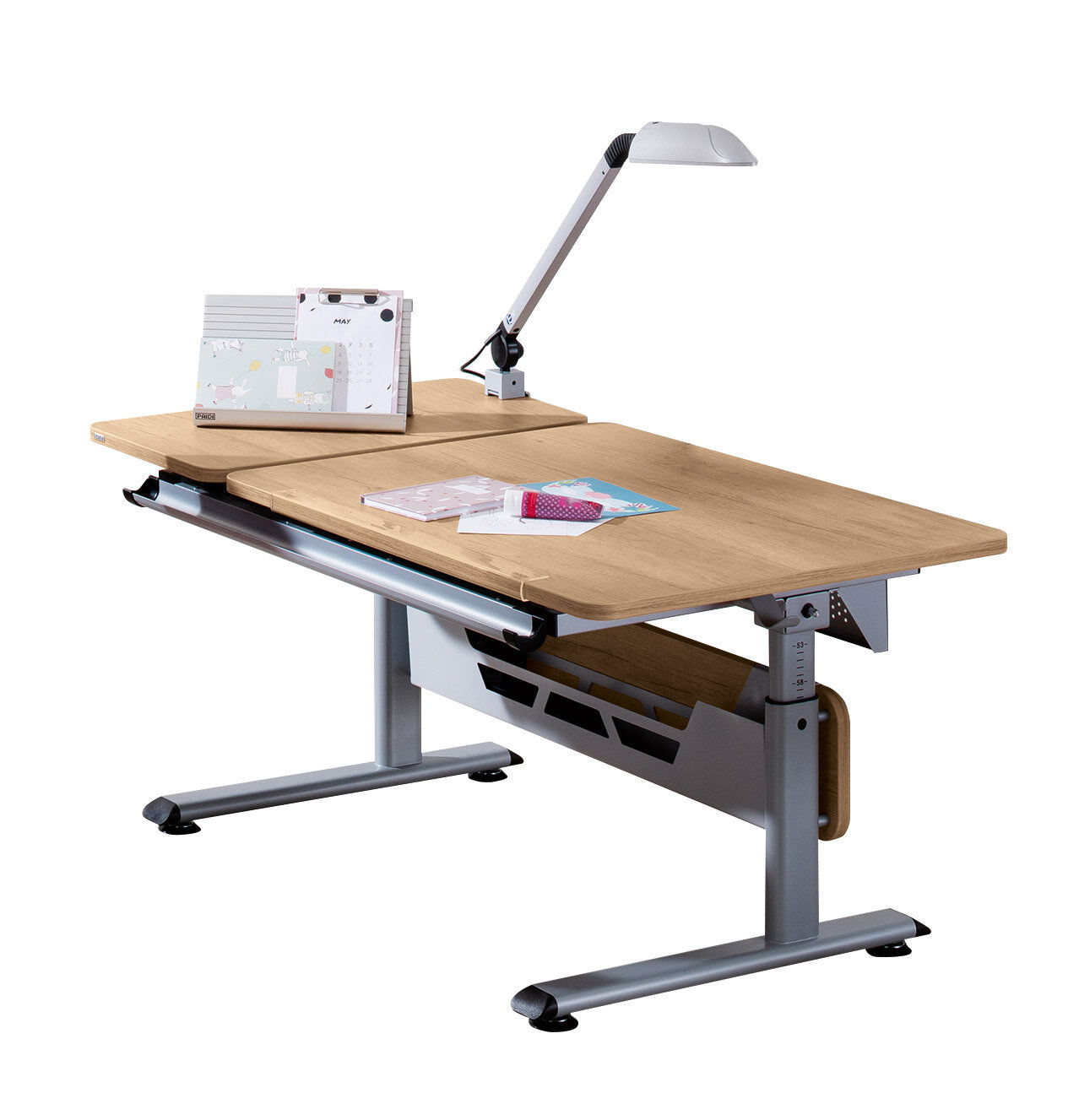 Paidi Schreibtisch DIEGO GT Moderner Schreibtisch Paidi DIEGO GT mit Holzoberfläche und verstellbarer Höhe, seitliche Perspektive