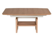 Moderner Couchtisch aus Holz mit rechteckiger Tischplatte und zusätzlicher Ablage, Frontalansicht.