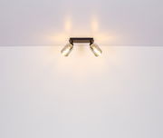 Zweiflammiger Strahler aus schwarzem Metall, matt, an der Decke montiert, mit warmem Licht, seitliche Perspektive.