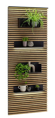 Lamellen-Paneel mit Pflanzen und Dekorationen in Regalen, seitliche Perspektive