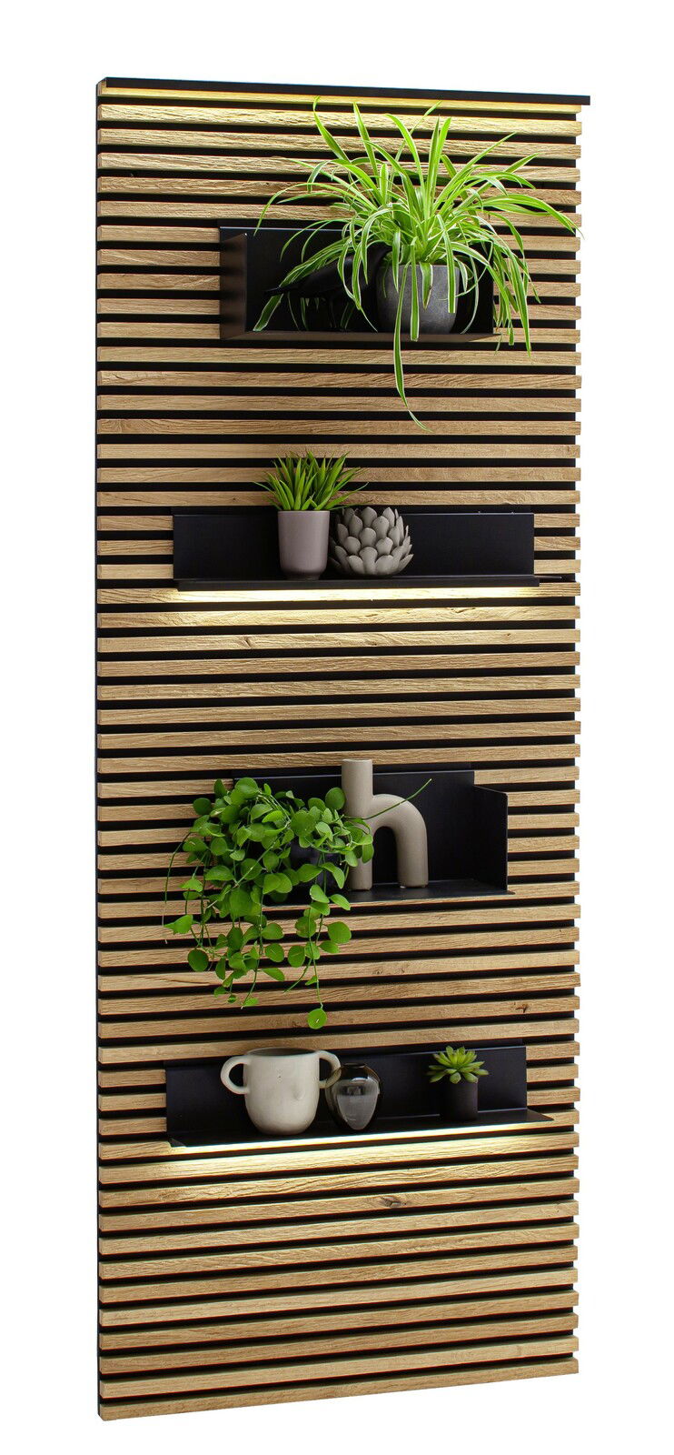 Lamellen-Paneel mit Pflanzen und Dekorationen in Regalen, seitliche Perspektive