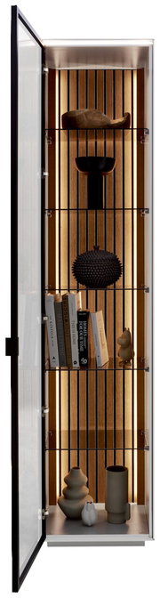 Vitrine mit geöffneter Glastür, Holzrückwand und Beleuchtung, gefüllt mit Büchern und dekorativen Objekten, Frontalansicht.