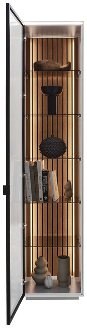 Vitrine mit geöffneter Glastür, Holzrückwand und Beleuchtung, gefüllt mit Büchern und dekorativen Objekten, Frontalansicht.