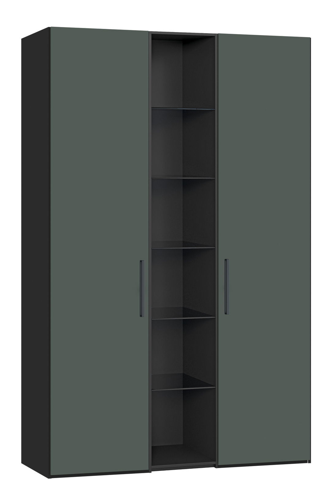 Moderner Drehtürenschrank mit zwei Türen in dunklem Grün, mittig offene Regalfächer, Frontalansicht.
