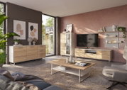 Modernes Wohnzimmer mit stilvollem Wandpaneel, das in einem eleganten Raum mit Holzmöbeln und dekorativen Elementen präsentiert wird. Perspektive von vorne.