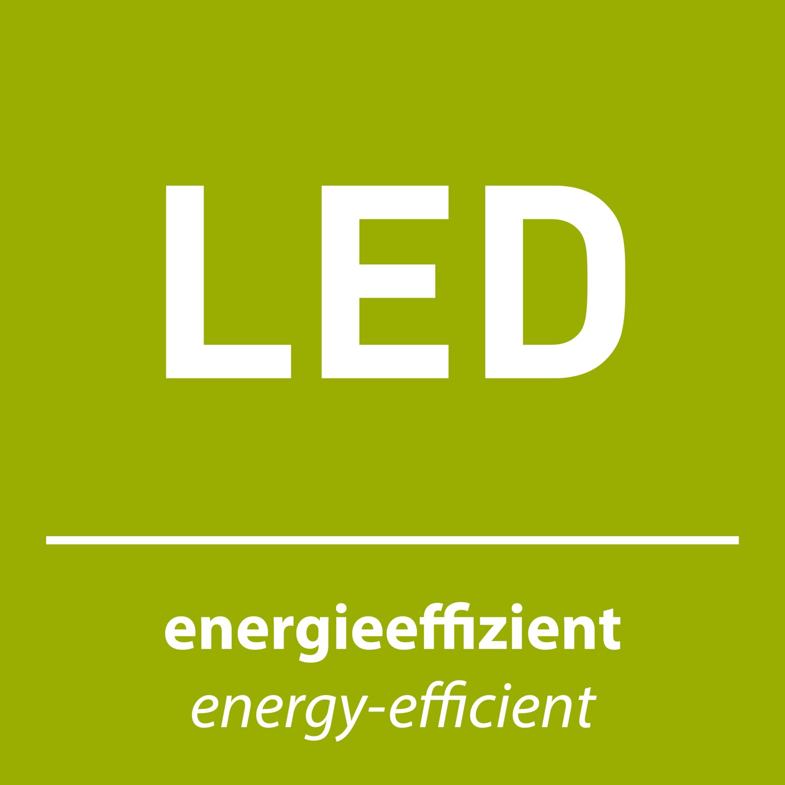 Grünes LED-Label mit weißer Aufschrift „LED“ und dem Text „energieeffizient / energy-efficient“, frontale Ansicht