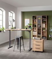 Elektrisch höhenverstellbarer Tisch mit Holzplatte und grauem Metallgestell, seitliche Perspektive, in modernem Büro mit Pflanzen und Regalen