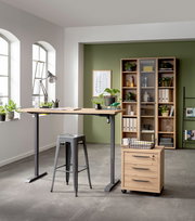 Elektrisch höhenverstellbarer Tisch mit Holzplatte und grauem Metallgestell, seitliche Perspektive, in modernem Büro mit Pflanzen und Regalen