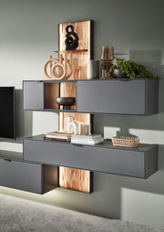 Moderne Wandkombination in dunklem Grau mit dekorativen Elementen und Pflanzen, seitliche Perspektive