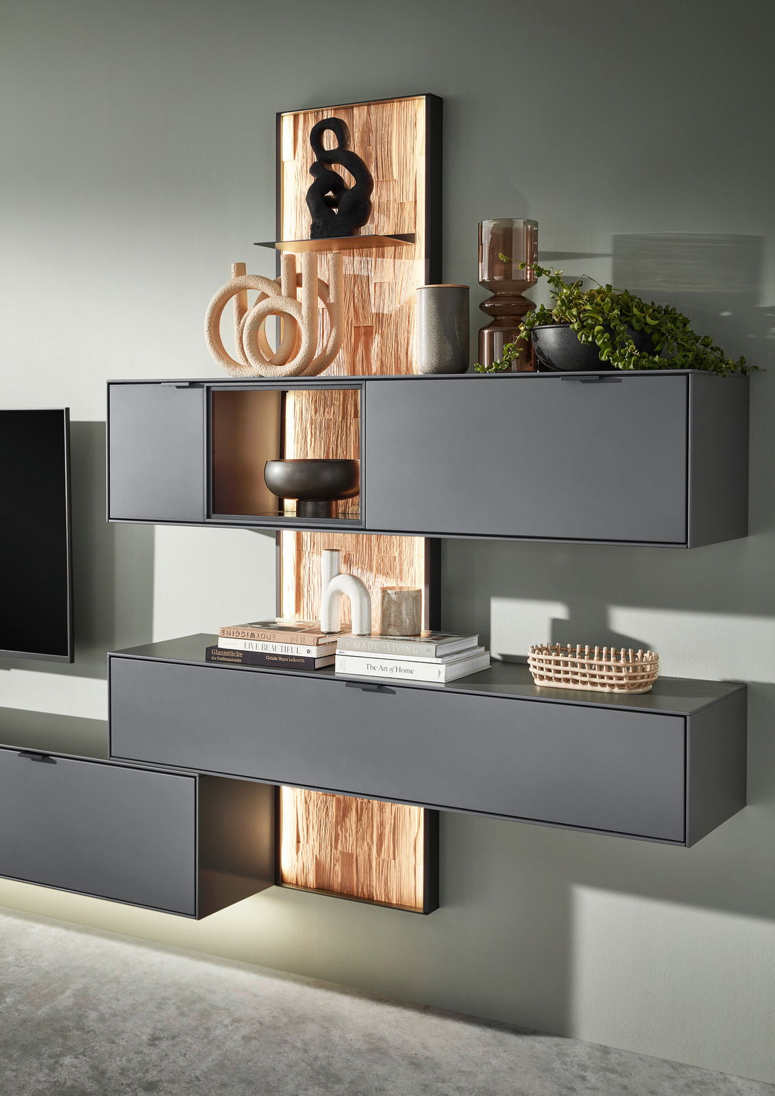 Moderne Wandkombination in dunklem Grau mit dekorativen Elementen und Pflanzen, seitliche Perspektive