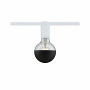 Deckenfassung mit schwarzer Glühbirne, Frontalansicht