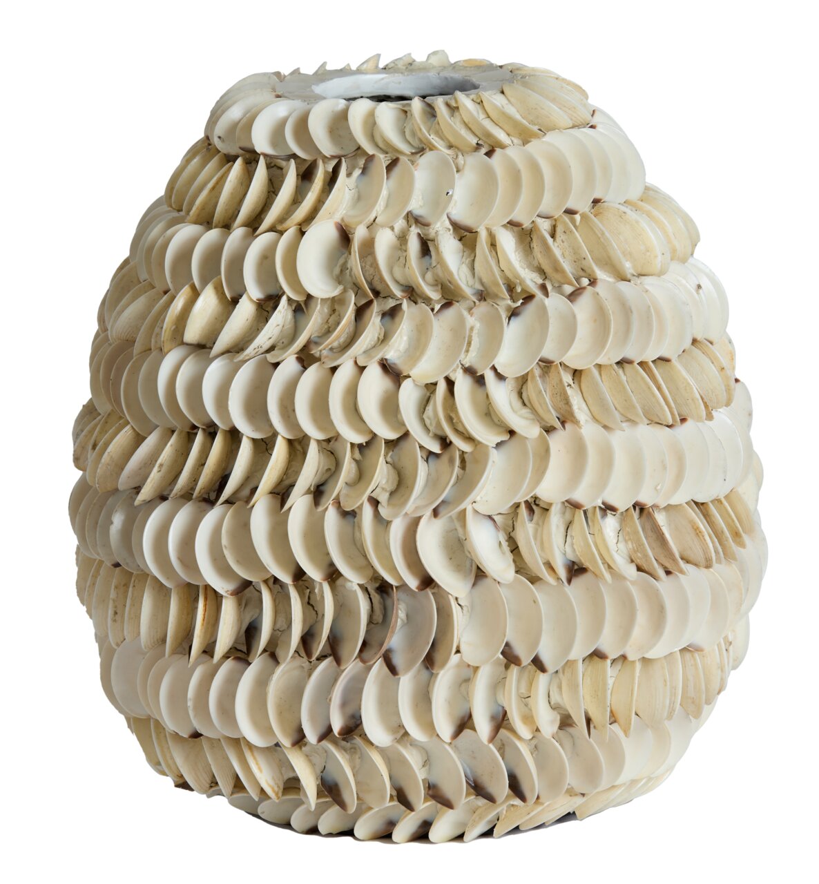 Vase mit Muschelverzierung, seitliche Perspektive