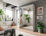 Moderner Spiegelschrank in einem stilvollen Wohnzimmer, Perspektive von schräg vorne.