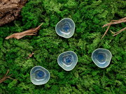 Vier kleine, unregelmäßig geformte Keramikschalen in Blau mit glänzender Glasur auf grünem Moos mit Holzstücken, Draufsicht (Top-Down)