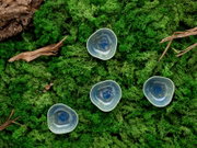 Vier kleine, unregelmäßig geformte Keramikschalen in Blau mit glänzender Glasur auf grünem Moos mit Holzstücken, Draufsicht (Top-Down)