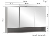 Spiegelschrank mit drei Türen, Frontansicht, Maße: 100 cm Breite, 64 cm Höhe, 20 cm Tiefe, mit integrierter Beleuchtung oben.