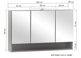 Spiegelschrank mit drei Türen, Frontansicht, Maße: 100 cm Breite, 64 cm Höhe, 20 cm Tiefe, mit integrierter Beleuchtung oben.