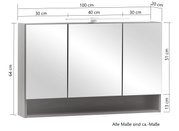Spiegelschrank mit drei Türen, Frontansicht, Maße: 100 cm Breite, 64 cm Höhe, 20 cm Tiefe, mit integrierter Beleuchtung oben.