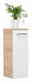 Voleo Midischrank LARA Midischrank in Holzoptik mit weißer Tür und Metallgriff, darauf steht eine Pflanze in einem weißen Topf, seitliche Perspektive