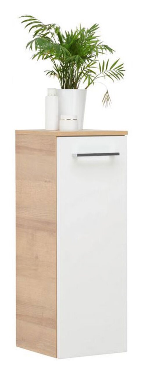 Voleo Midischrank LARA Midischrank in Holzoptik mit weißer Tür und Metallgriff, darauf steht eine Pflanze in einem weißen Topf, seitliche Perspektive