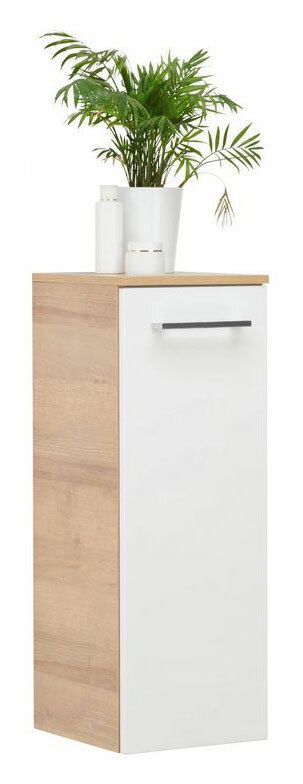 Midischrank in Holzoptik mit weißer Tür und Metallgriff, darauf steht eine Pflanze in einem weißen Topf, seitliche Perspektive