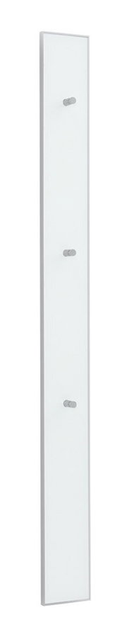 Schmales, hochformatiges Wandpaneel aus satiniertem Glas mit drei Metallabstandshaltern, freigestellt auf weißem Hintergrund, in leichter Schrägansicht von vorn