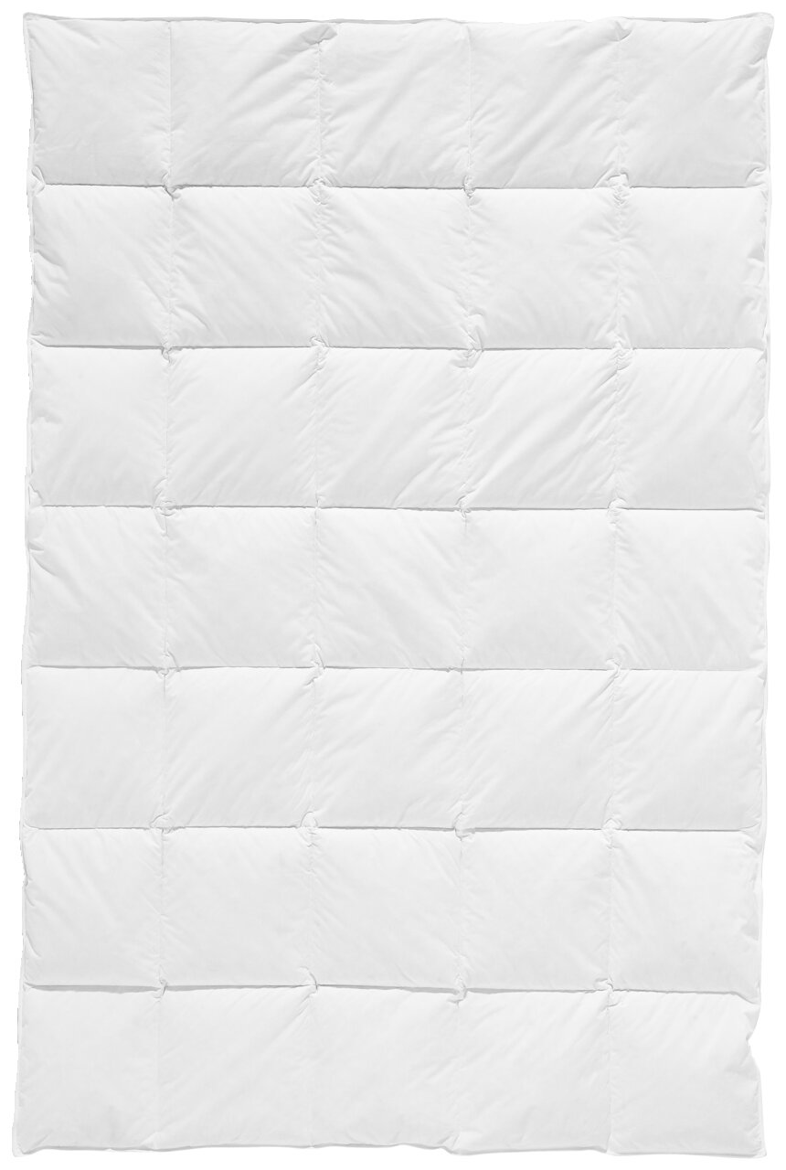billerbeck Daunendecke POLARSTERN Daunendecke in der Größe 155x220 cm, Draufsicht