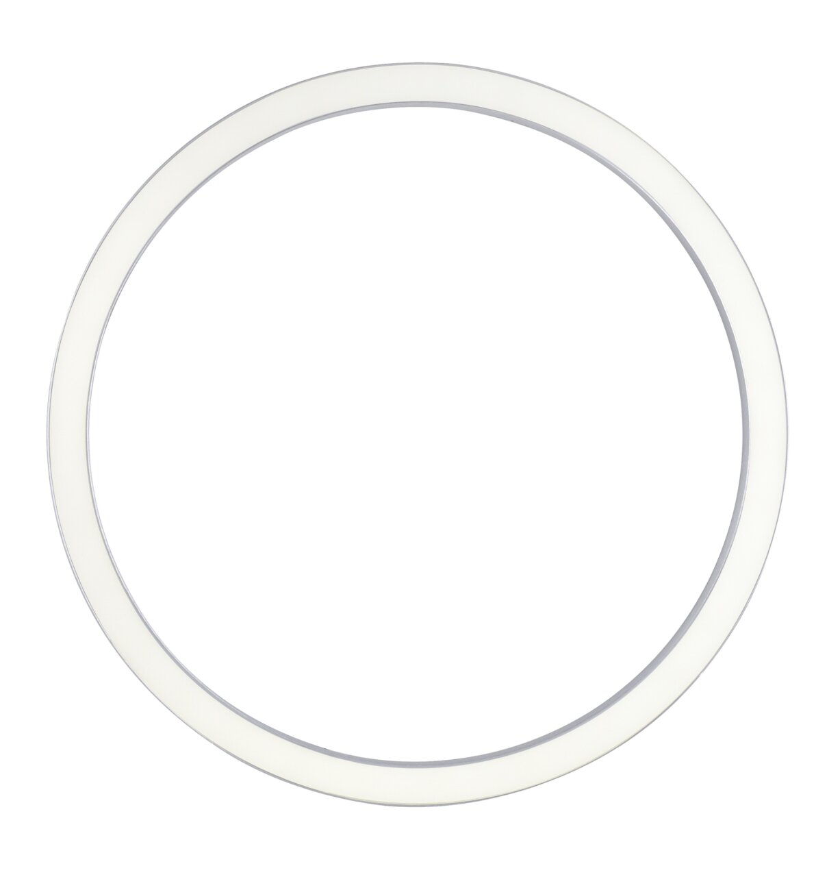 Ronde plafondlamp PURE-LINES van Paul Neuhaus, gezien van onderaf