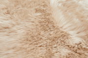 Nahaufnahme eines beigen Schaffells mit weicher, flauschiger Textur.