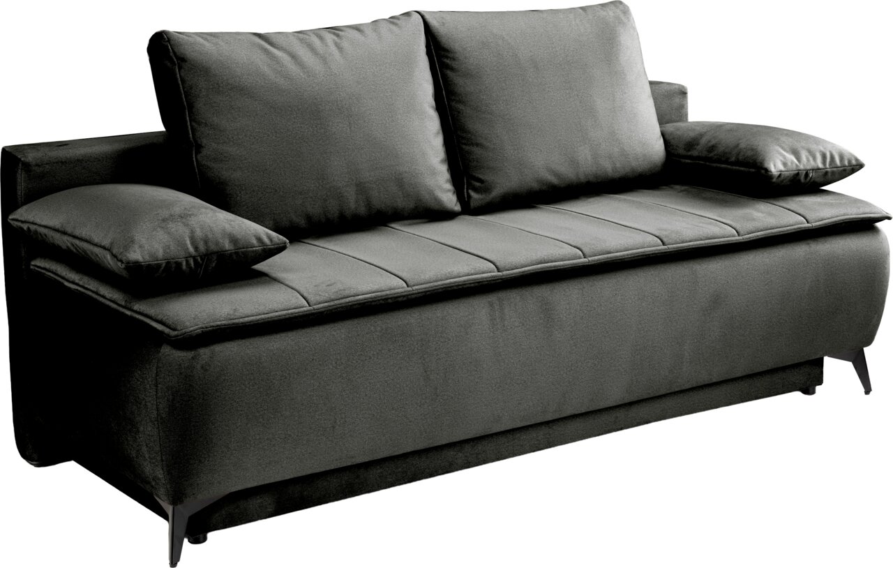 Dunkelgraues 2-Sitzer-Sofa mit zwei großen Rückenkissen und breiten Armlehnen, freigestellt auf weißem Hintergrund, in schräger Frontansicht von links.