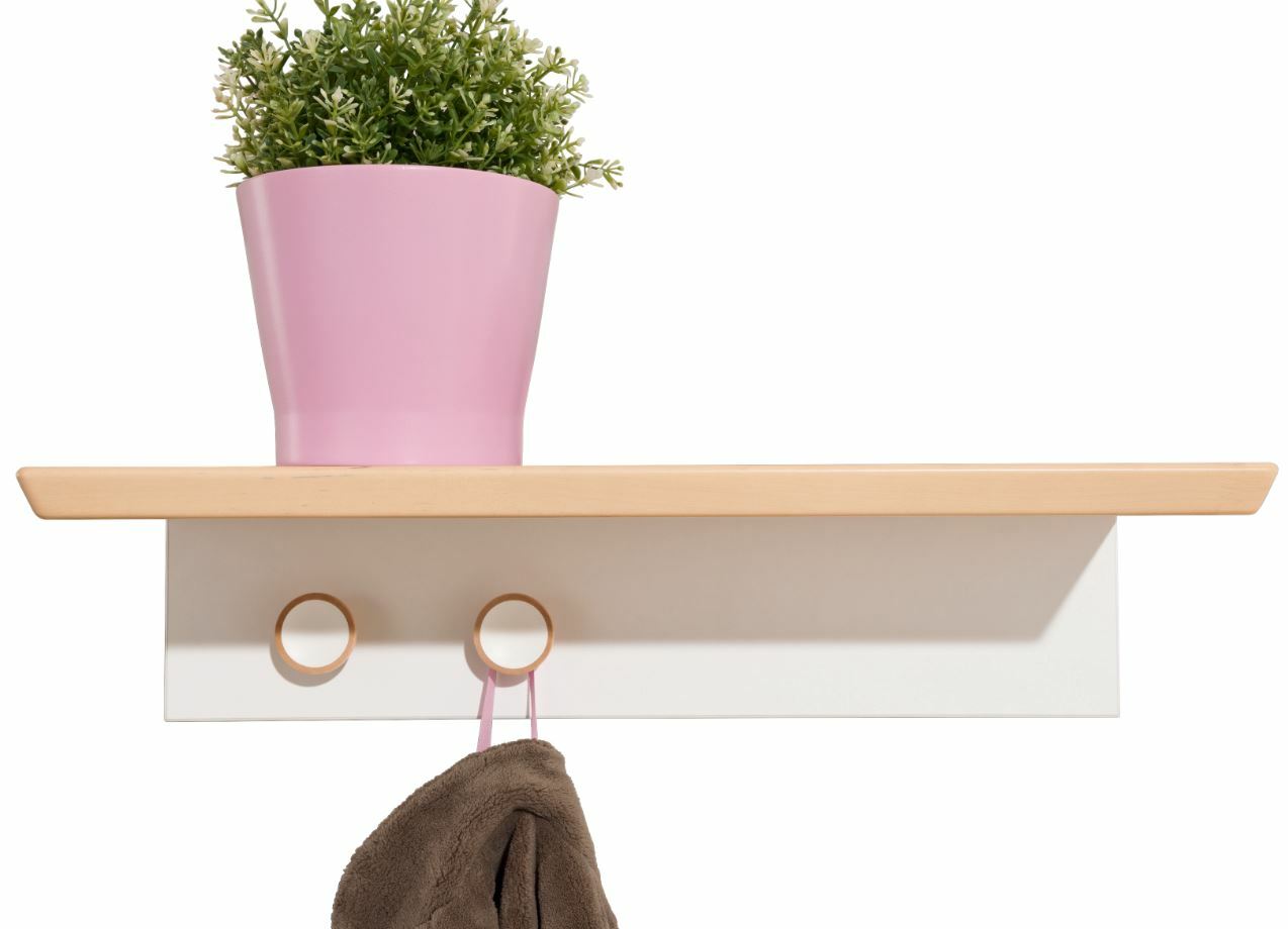 Wandregal mit Holzleiste, zwei Haken und einem rosa Blumentopf, Frontalansicht