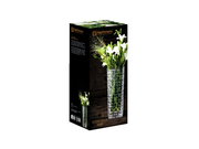 Verpackung der Nachtmann Bossa Nova Vase 28cm, frontal mit Blumenarrangement.