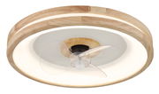 Deckenventilator mit Holzrahmen und transparenten Flügeln, seitliche Perspektive