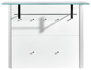 Frontansicht eines modernen Garderobenpaneels mit Glasablage und mehreren Haken.