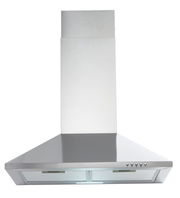 Dunstabzugshaube aus Edelstahl, frontale Ansicht