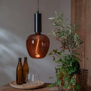 Hängelampe mit braunem Glas und sichtbarem Glühfaden, umgeben von Pflanzen und Dekoration, seitliche Perspektive