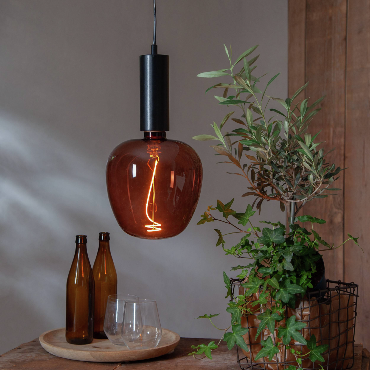 Eglo Leuchten Leuchtmittel Hängelampe mit braunem Glas und sichtbarem Glühfaden, umgeben von Pflanzen und Dekoration, seitliche Perspektive