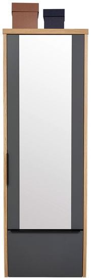 Frontansicht eines Hänge-Spiegelgarderobenschranks mit zwei Boxen obenauf, Holzrahmen und grauen Akzenten.
