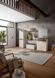 Moderner Schuhschrank in einem stilvollen Eingangsbereich, frontal betrachtet, mit einem hohen Schrank, einer Sitzbank und einem Spiegel.