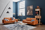 Wohnzimmer mit zwei cognacfarbenen Sofas aus der Schöner Wohnen Kollektion TIMELESS, frontal fotografiert. Moderne Einrichtung mit Teppich, Couchtischen und Regal vor einer dunkelblauen Wand.