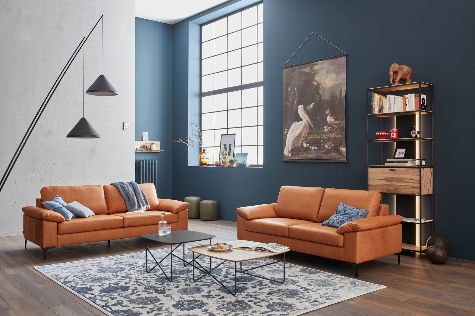 Wohnzimmer mit zwei cognacfarbenen Sofas aus der Schöner Wohnen Kollektion TIMELESS, frontal fotografiert. Moderne Einrichtung mit Teppich, Couchtischen und Regal vor einer dunkelblauen Wand.