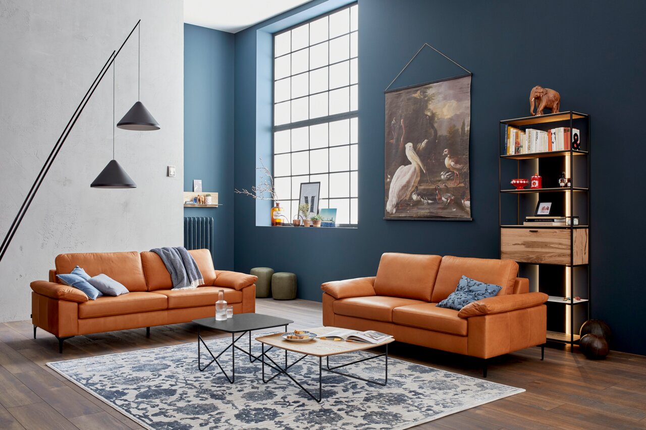 Wohnzimmer mit zwei cognacfarbenen Sofas aus der Schöner Wohnen Kollektion TIMELESS, frontal fotografiert. Moderne Einrichtung mit Teppich, Couchtischen und Regal vor einer dunkelblauen Wand.