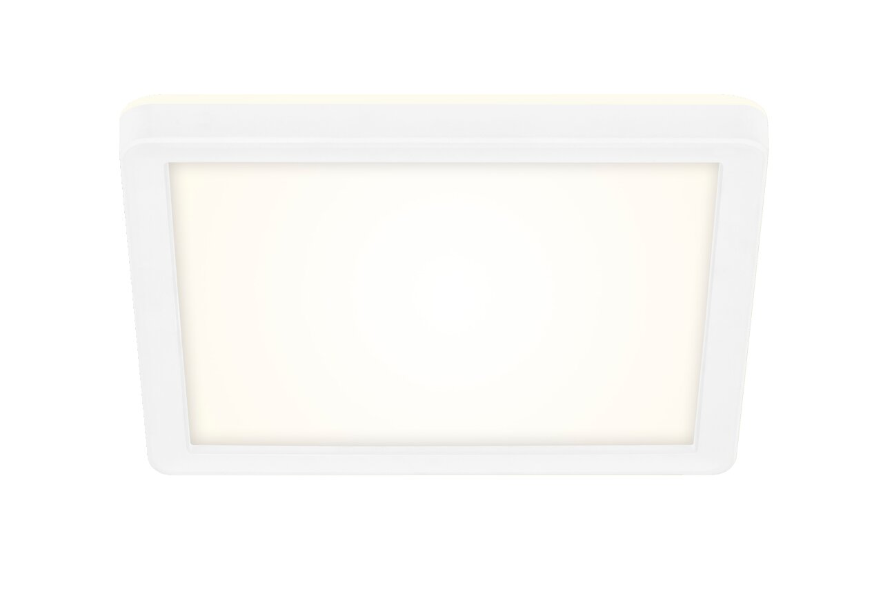 Briloner LED-Deckenleuchte SLIM Quadratische LED-Deckenleuchte in Weiß, von unten betrachtet