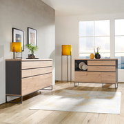 Modernes Wohnzimmer mit zwei Holzkommoden in natürlichem Licht, seitliche Perspektive