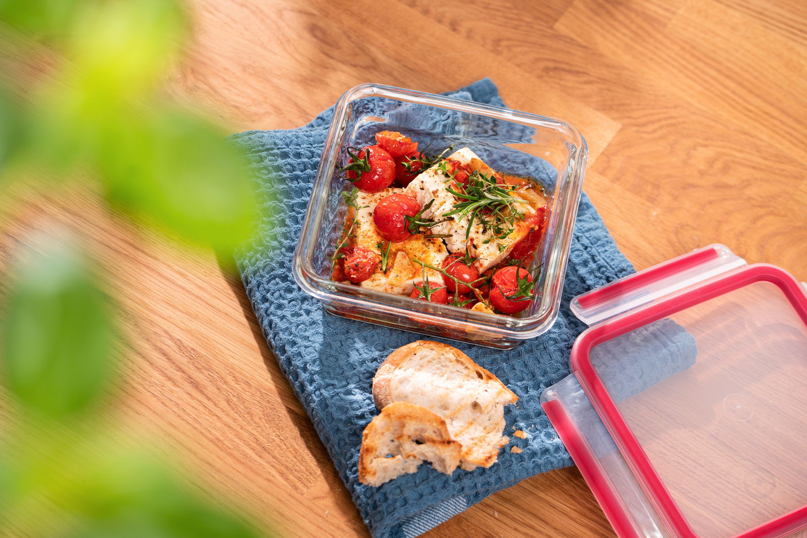 Quadratisches Glasbehälter 0,80 L mit rotem Deckel, gefüllt mit frischen Tomaten und Kräutern, auf einem blauen Tuch von oben fotografiert.