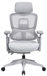 Grauer ergonomischer Drehstuhl mit Netzrückenlehne und Kopfstütze, Frontalansicht