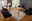 Livetastic Esstisch PAUL